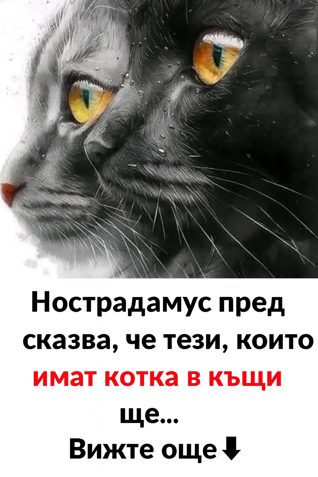 Последни новини