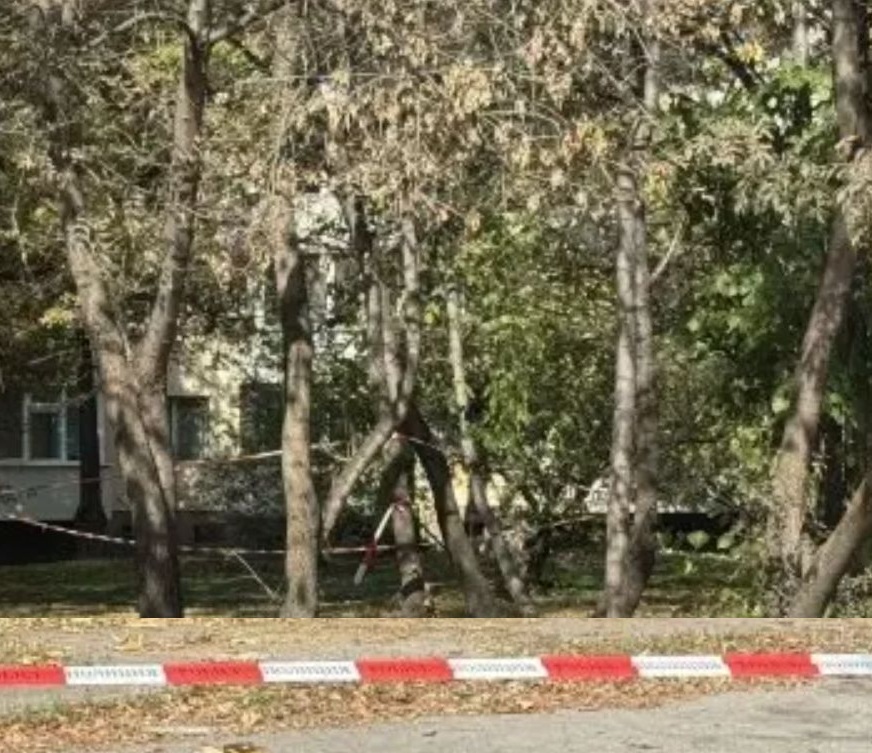 Последни новини