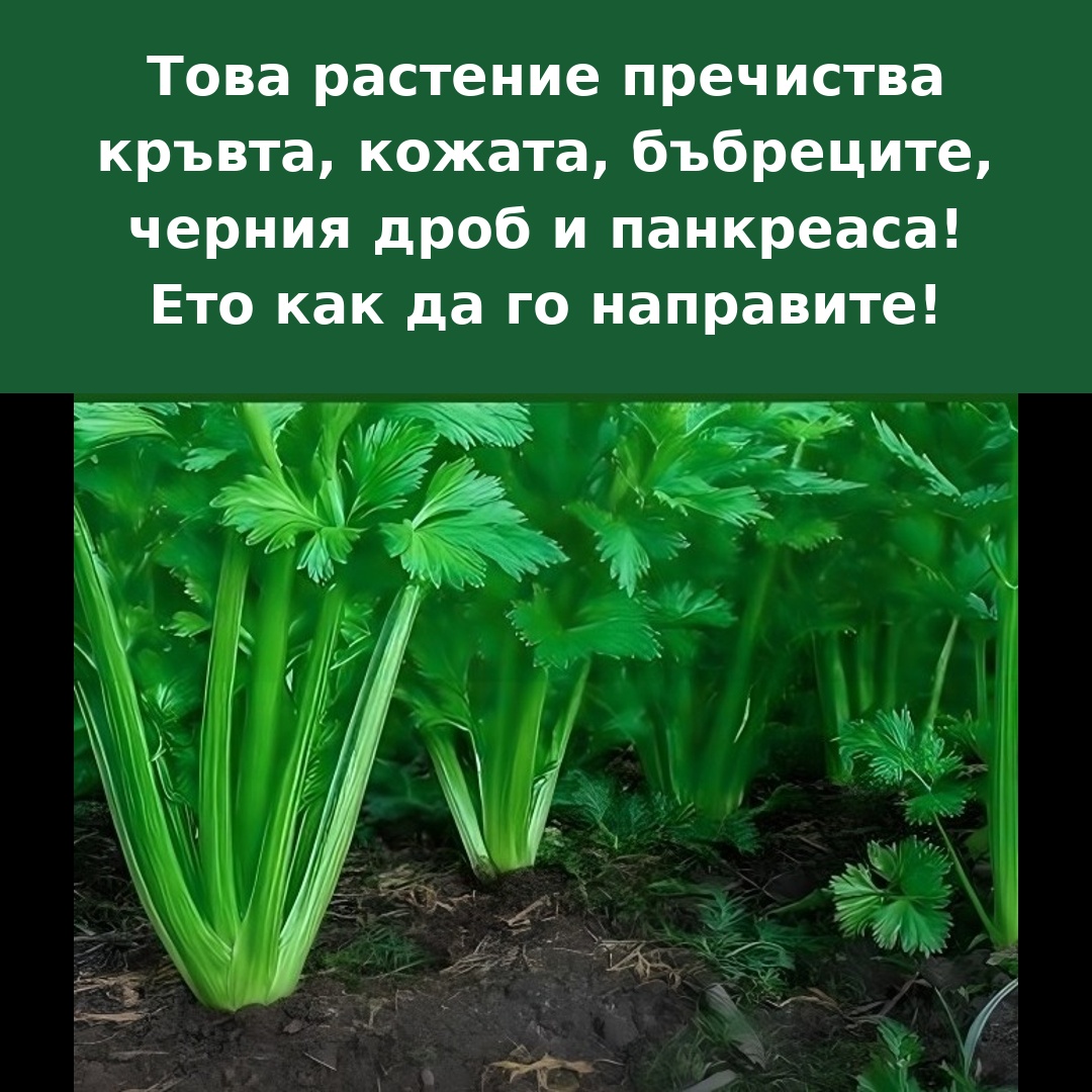 Последни новини