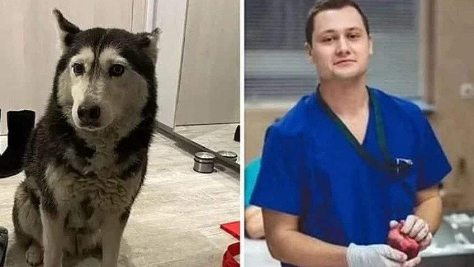 Последни новини