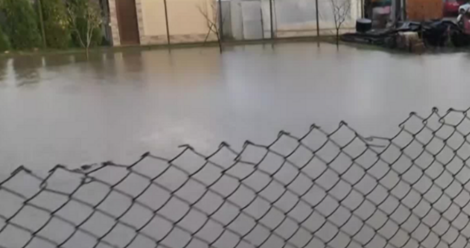 Последни новини