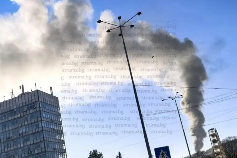 Последни новини