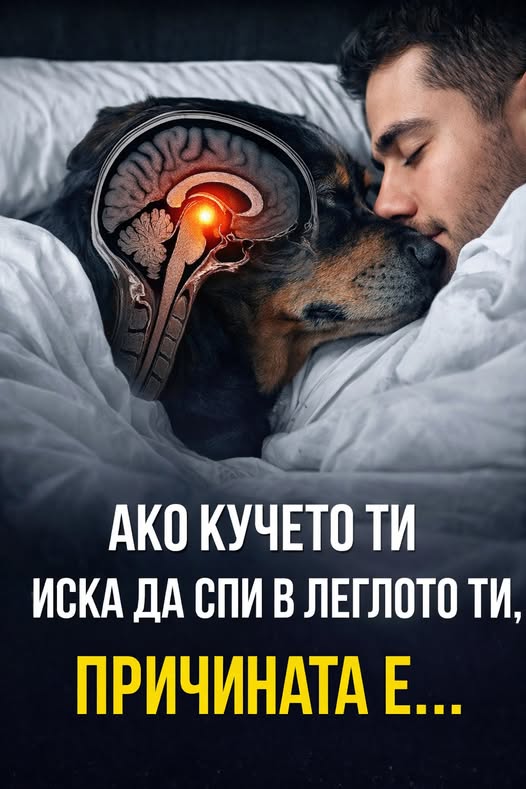 Последни новини