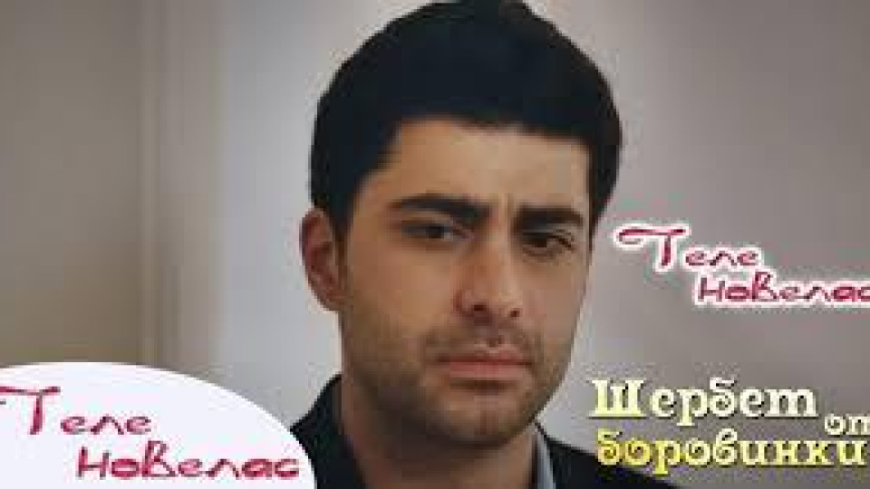 Последни новини