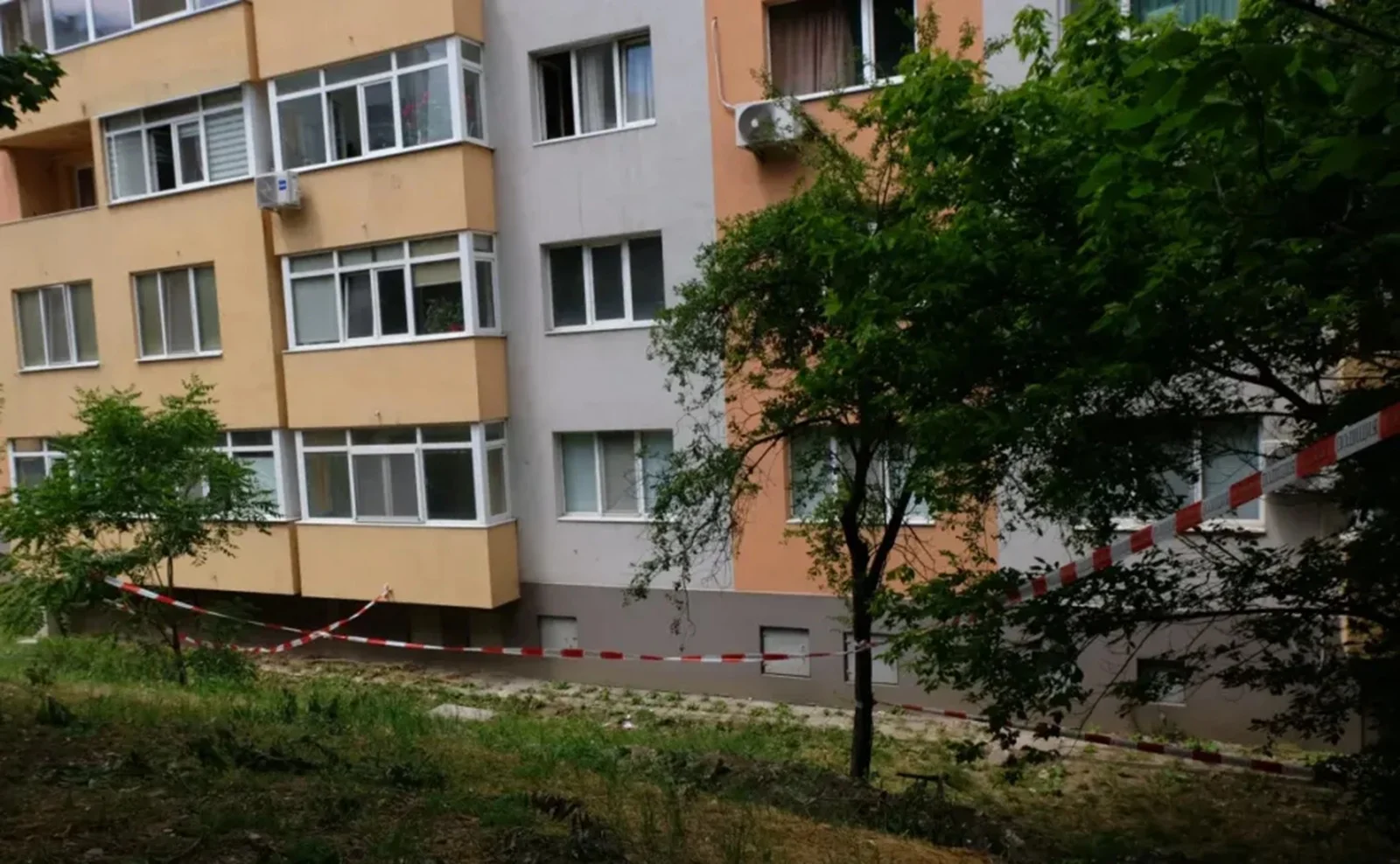 Последни новини