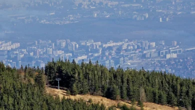 Голяма опасност на Витоша. Има ли паника