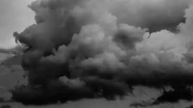Седмична прогноза на Meteo Balkans: Нахлуване на студ, мъгли и съществени дъждове в края на седмицата